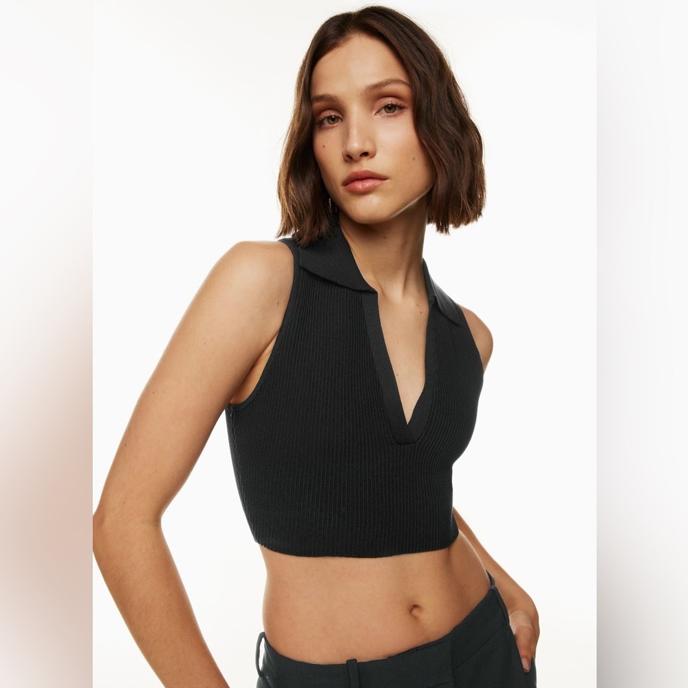Aritzia Babaton Sculpt Knit Polo cropped Top size XXS